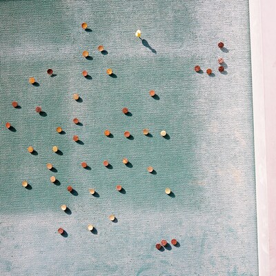 ミツメ「ジンクス」配信ジャケット