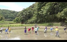 虹のコンキスタドール「全農presents 届け！ファンファーム」のワンシーン。