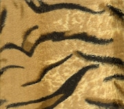 THE HIGH-LOWS「タイガーモービル」ジャケット