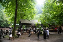 「ROVO LIVE FOREST 2020」より。（撮影：船橋岳大）