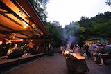 「ROVO LIVE FOREST 2020」より。(撮影:船橋岳大)