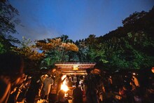 「ROVO LIVE FOREST 2020」より。（撮影：船橋岳大）