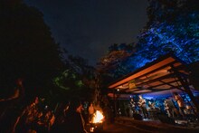 「ROVO LIVE FOREST 2020」より。（撮影：船橋岳大）