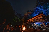 「ROVO LIVE FOREST 2020」より。(撮影:船橋岳大)