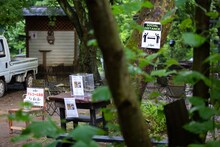 「ROVO LIVE FOREST 2020」より。（撮影：船橋岳大）