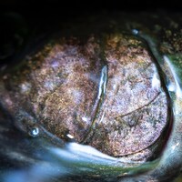 KUDANZ「異星人 / グッデイ」配信ジャケット