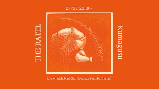 「THE RATEL × kumagusu配信2マンライブ」の告知ビジュアル。
