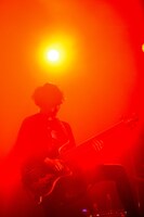 神はサイコロを振らない Streaming Live「理-kotowari-」より、桐木岳貢（Ba）。（Photo by MASANORI FUJIKAWA）