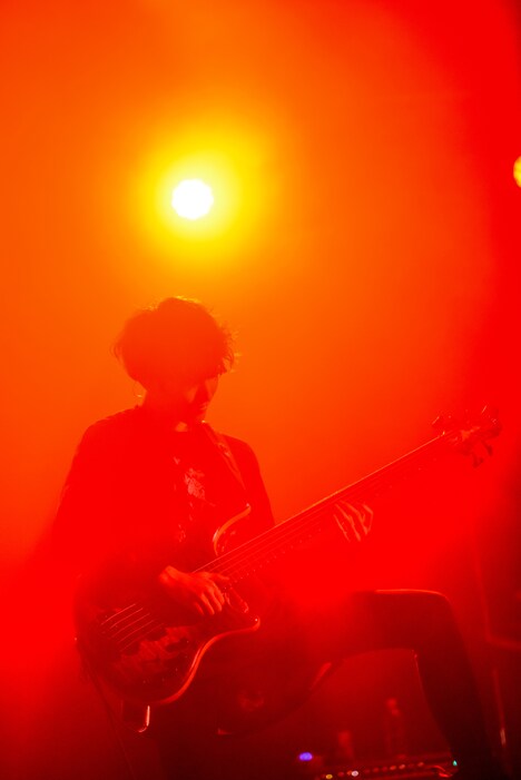 神はサイコロを振らない Streaming Live「理-kotowari-」より、桐木岳貢（Ba）。（Photo by MASANORI FUJIKAWA）