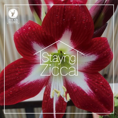 Char「STAYING ZICCA」ジャケット