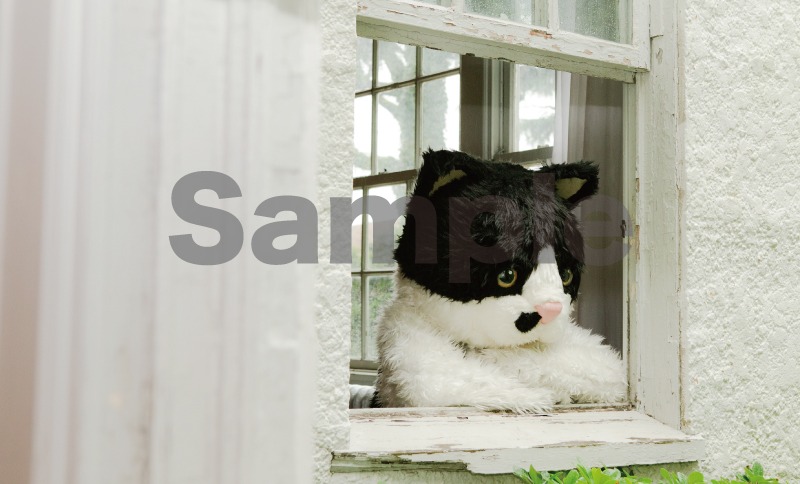 むぎ（猫）「窓辺の猫 e.p.」購入者特典ミニカード（セブンネットショッピング）サンプル。