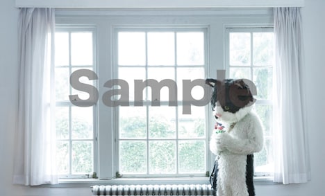 むぎ（猫）「窓辺の猫 e.p.」購入者特典ミニカード（タワーレコード 全国各店 / タワーレコード オンライ）サンプル。