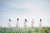 透明なトビラ。