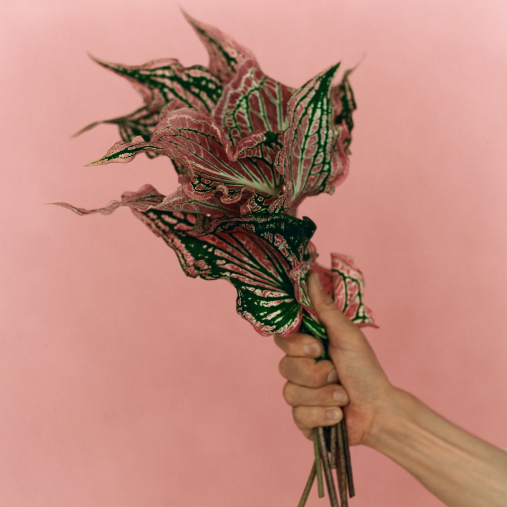 宮本浩次「P.S. I love you」配信ジャケット - 宮本浩次、歌と手紙に