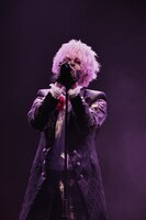 luz「luz 10th Anniversary Project -REVIVE-」の様子。（撮影：小松陽祐［ODD JOB］）