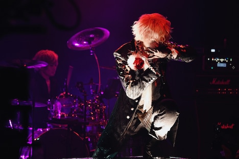 luz「luz 10th Anniversary Project -REVIVE-」の様子。（撮影：小松陽祐［ODD JOB］）