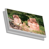 VIDEOTAPEMUSIC「Spring Fever EP」配信ジャケット