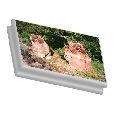 VIDEOTAPEMUSIC「Spring Fever EP」配信ジャケット