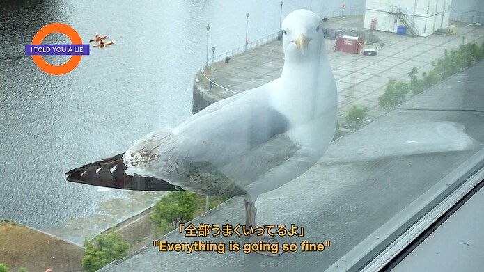 ラブリーサマーちゃんがMV監督に初挑戦、イギリス旅行のオフショット盛りだくさん