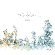 popoq「Crystallize」ジャケット