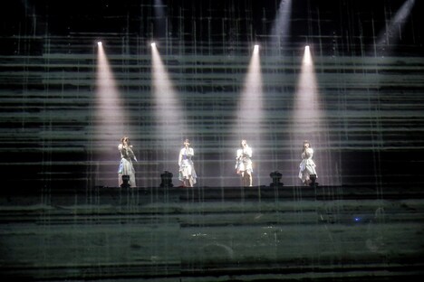 TEAM SHACHI(撮影:笹森健一)