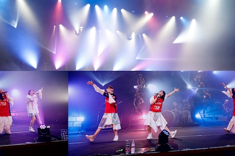 TEAM SHACHI(撮影:笹森健一)