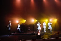 TEAM SHACHI（撮影：笹森健一）