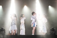 TEAM SHACHI（撮影：笹森健一）