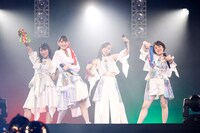 TEAM SHACHI（撮影：笹森健一）