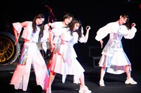 TEAM SHACHI（撮影：笹森健一）