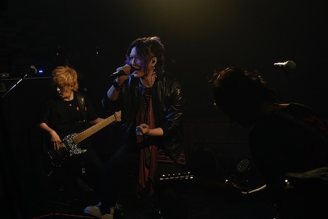 あらき「ARAKI LIVE ARK -iki ni kanzu-」の様子。（撮影：小松陽祐［ODD JOB］）