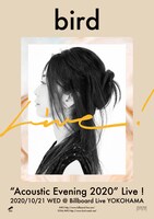 「bird "Acoustic Evening 2020" Live！」告知ビジュアル
