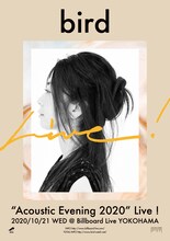 「bird "Acoustic Evening 2020" Live！」告知ビジュアル