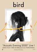 bird、バンド従えビルボードライブ横浜に初登場