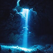 LiSA「愛錠」配信ジャケット