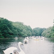 工藤祐次郎「残暑見舞い」ジャケット