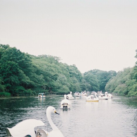 工藤祐次郎「残暑見舞い」ジャケット