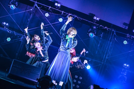 豆柴の大群（Photo by sotobayashi kenta）