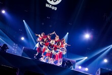 WAgg（Photo by sotobayashi kenta）