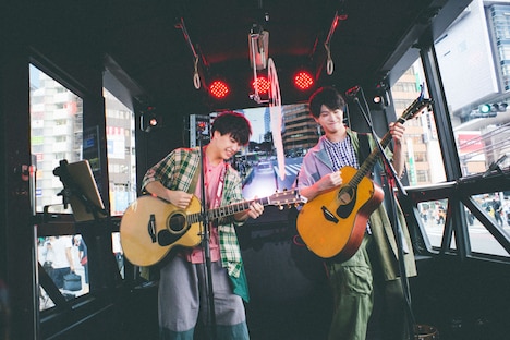 さくらしめじ（撮影：鈴木友莉）