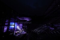 茅原実里「SUMMER CHAMPION 2020 ～Minori Chihara 12th Summer Live～」の様子。（撮影：草刈雅之）