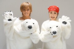 小林幸子と松岡充がシロクマ結成、ニコニコ超会議で「しろくろましろ」初パフォーマンス