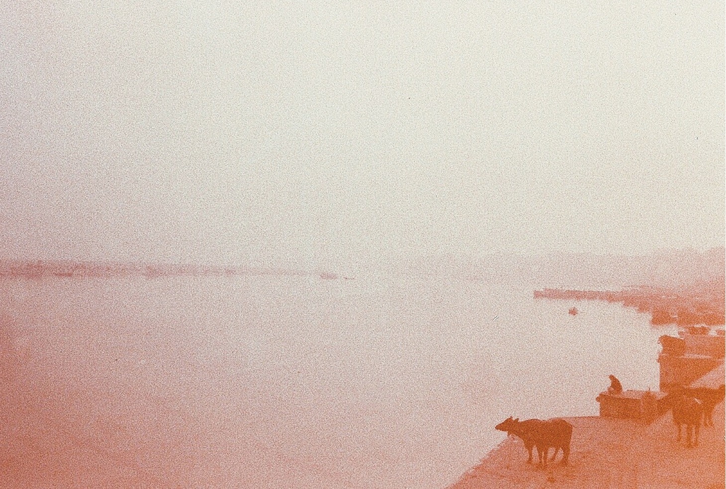 小山田壮平「THE TRAVELING LIFE」特典ポストカード（TSUTAYA）