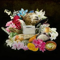 ハイファイコーヒーズ「coffee cup」ジャケット