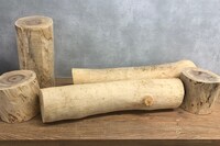 被爆クスノキの剪定枝。