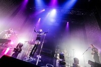 女王蜂（撮影：森好弘）