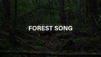 maco marets「Forest Song」ミュージックビデオのサムネイル。