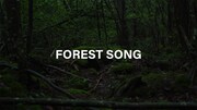 maco marets「Forest Song」ミュージックビデオのサムネイル。