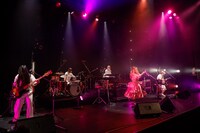 コレサワ「HEART BREAK TOUR!!～Home Party～」の様子。（撮影：小坂茂雄）