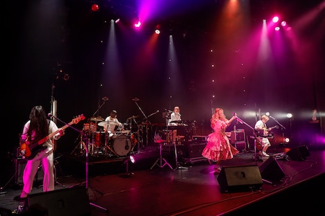 コレサワ「HEART BREAK TOUR!!～Home Party～」の様子。（撮影：小坂茂雄）